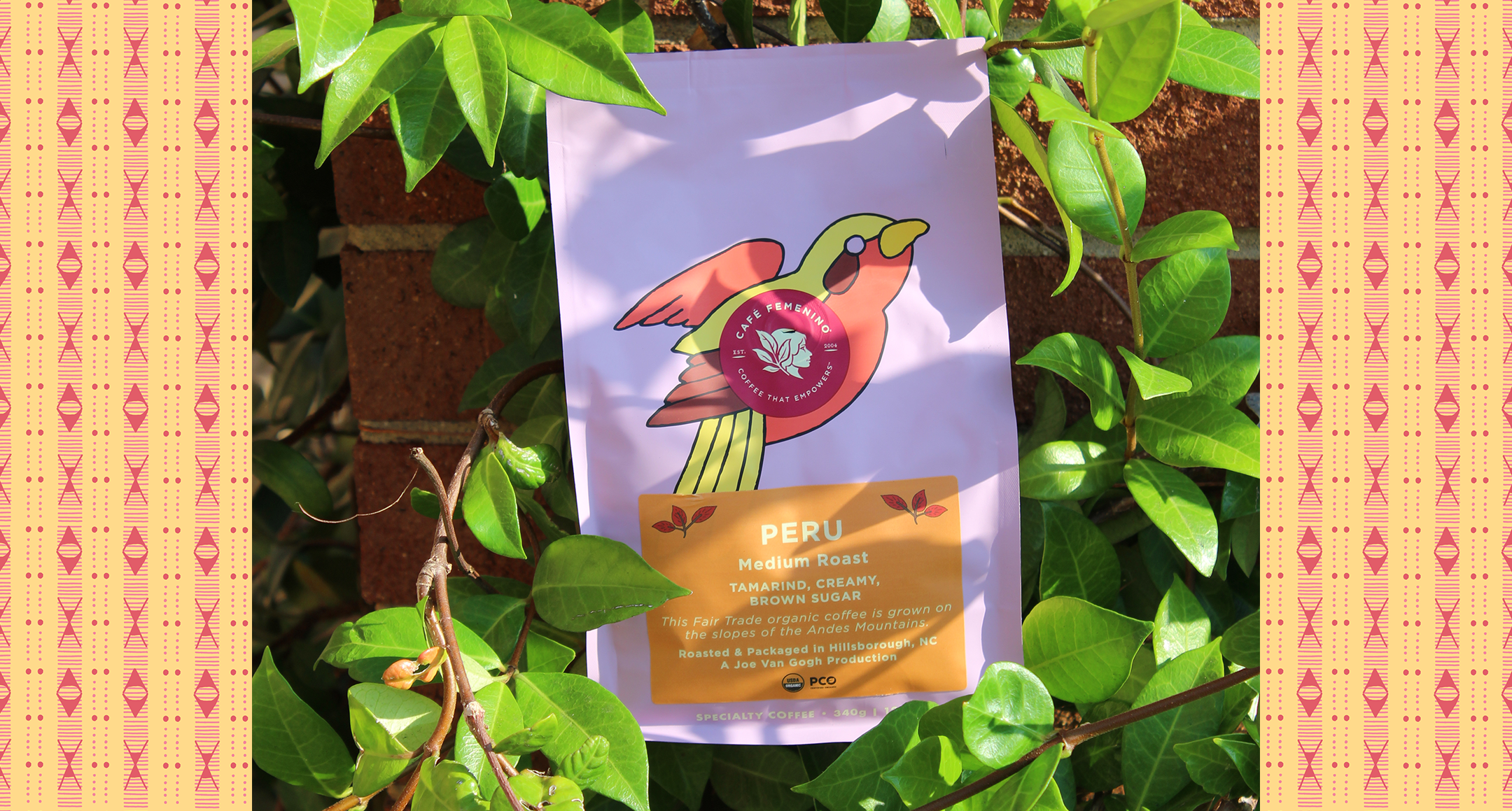 Joe Van Gogh Coffee - Wholesale Coffee Beans - Organic Fair Trade Café Femenino Peru 2