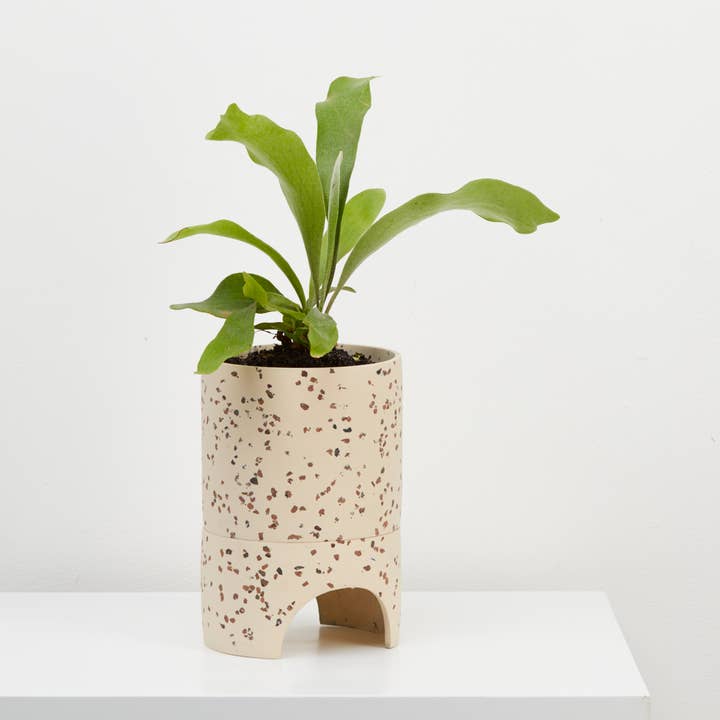 Capra Designs - Venta al por mayor Macetas - Archie Maceta - Terrazo fósil0