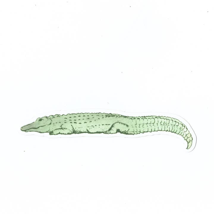 Statement Goods - Wholesale Sticker - Lazy Alligator vinyl sticker1