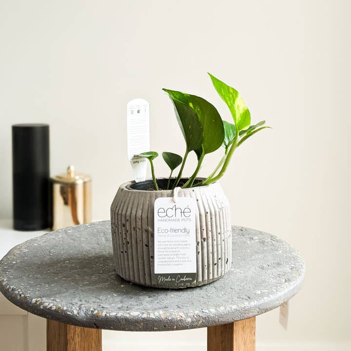 Eché pots - Wholesale Plant pot - Hemp & Coconut fibre Rib Pot - Handcrafted in Australia11
