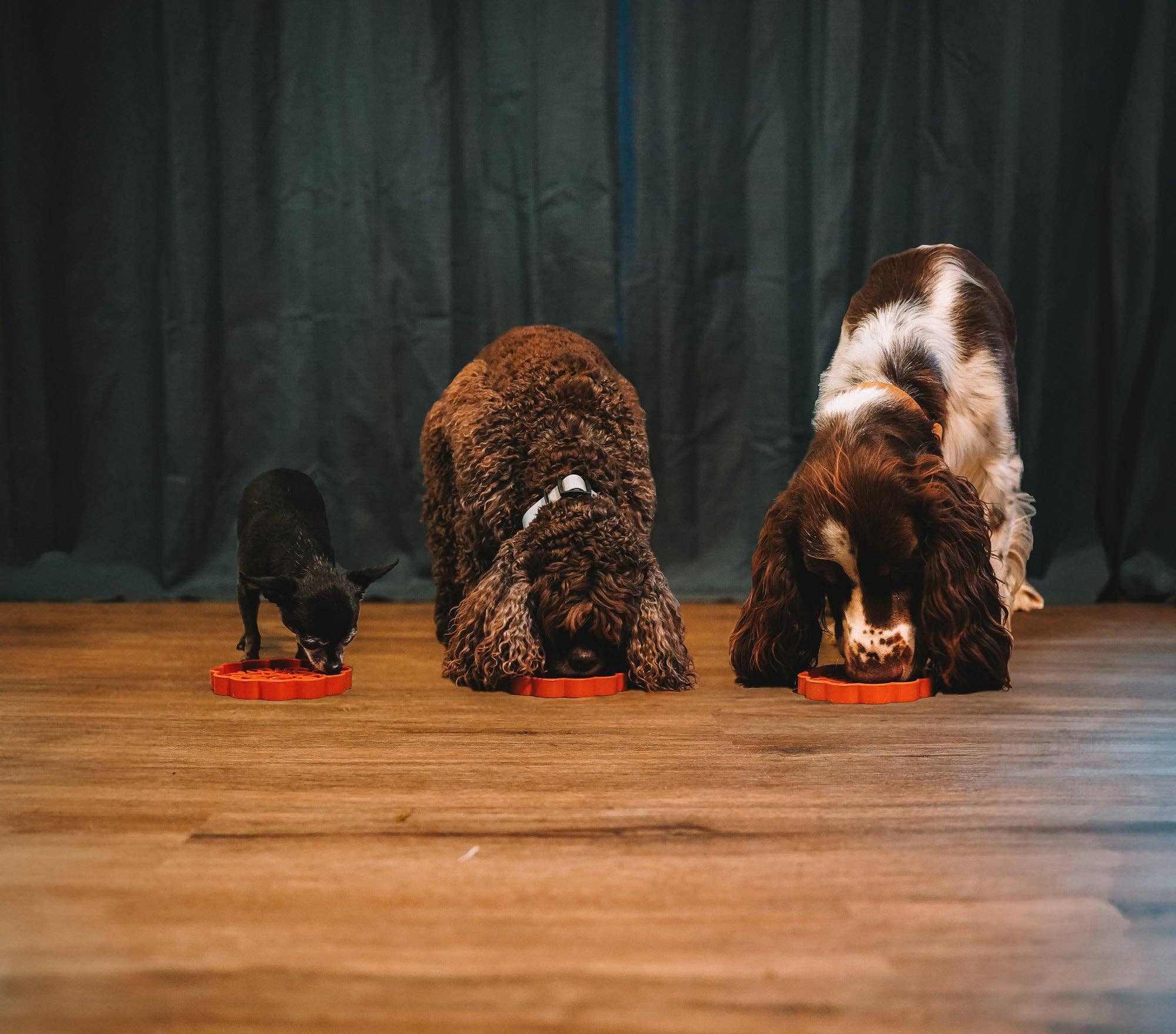 Wild n Fresh Treats - Vente Tapis de gamelle – chien - Tapis à friandises Mini Mooncake en forme de gâteau de lune3
