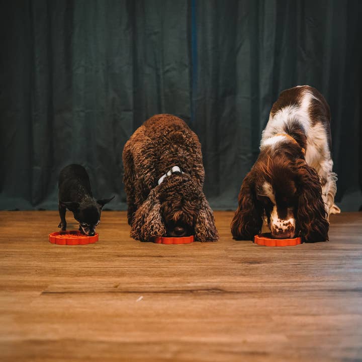 Wild n Fresh Treats - Vente Tapis de gamelle – chien - Tapis à friandises Mini Mooncake en forme de gâteau de lune3