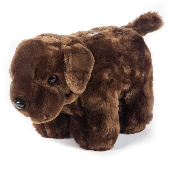 Chocolate Lab Dog Coin Bank for wholesale by Carstens, Inc.