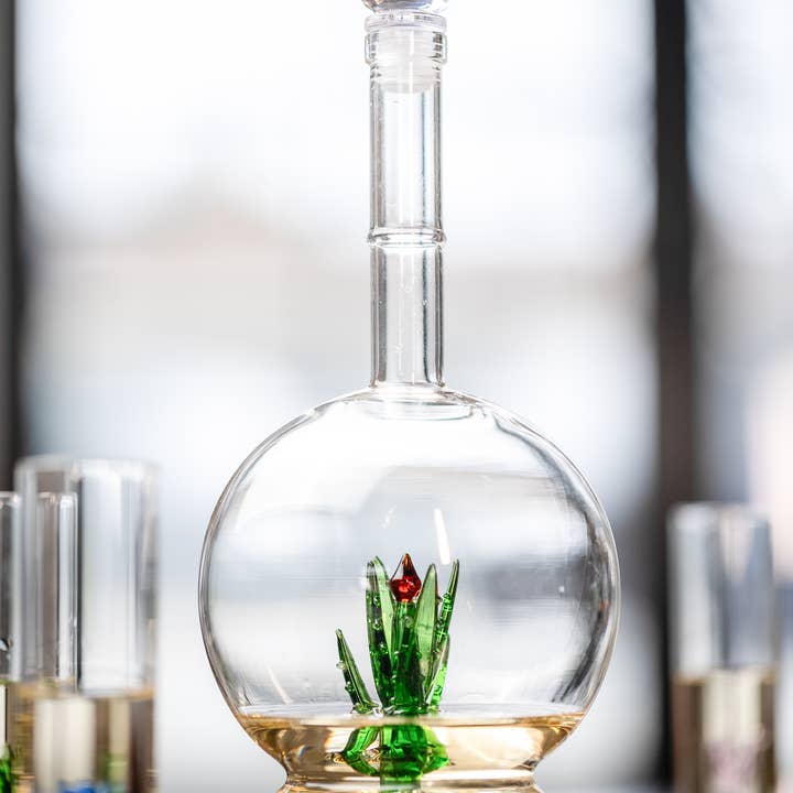 The Wine Savant / Khen Glassware - Wholesale Decanter - Tequila Aloe Decanter With Agave Plant & 4 Shot Glasses Set6