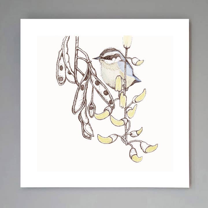 'Nuthatch' kunsttryk for engroshandel hos Fay's Studio