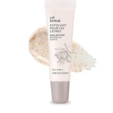 Best Beauty Group - Wholesale Lip Scrub/Polish - THE FACE SHOP fmgt Lip Scrub Exfoliator Shea Butter
