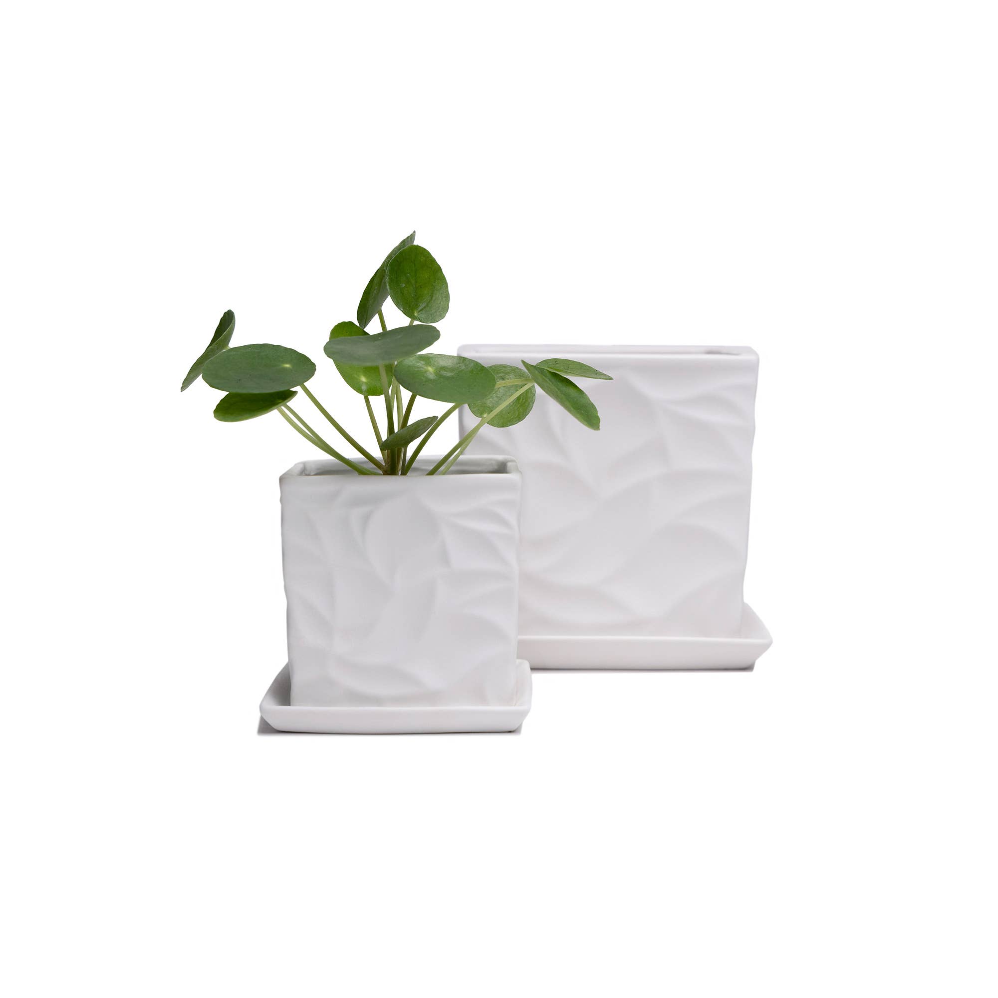 Chive - Wholesale Plant Pot - Handmade Ceramic Virago Pots | Artisan Plant Planters24