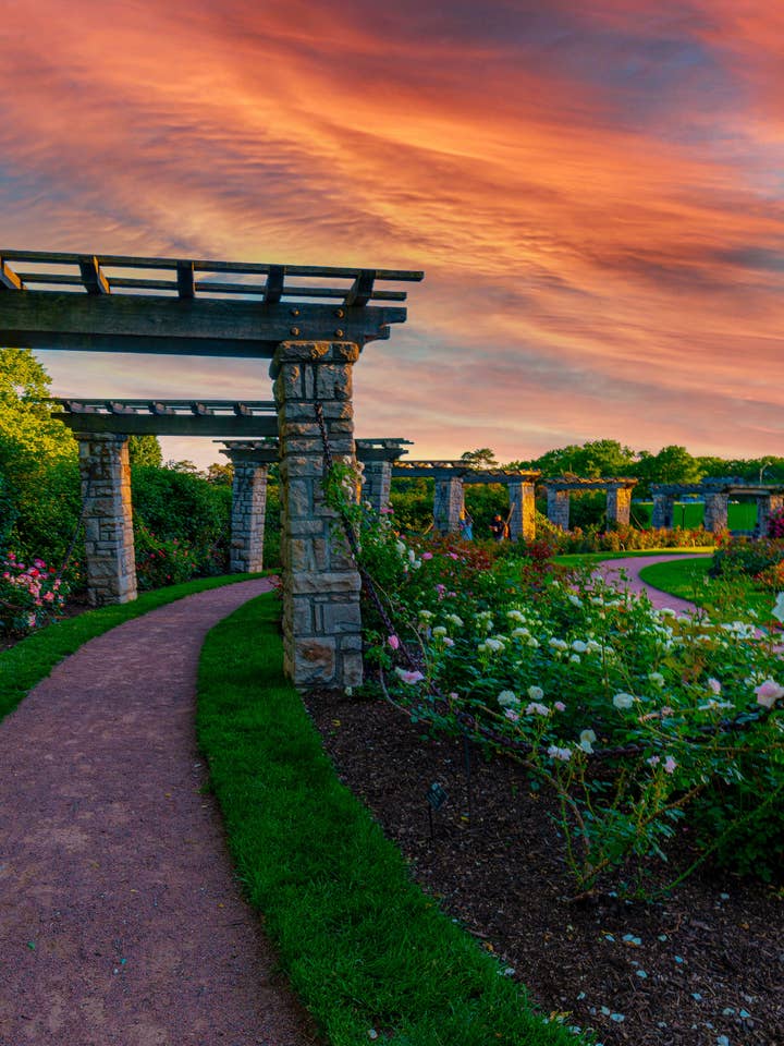 Kansas City Poster -The Rose Garden at Loose Park for wholesale by Posters & Puzzles