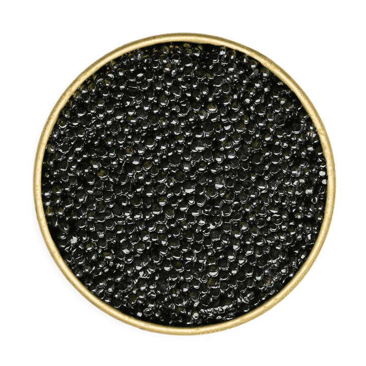 White Sturgeon Caviar for wholesale by Number One Caviar LLC