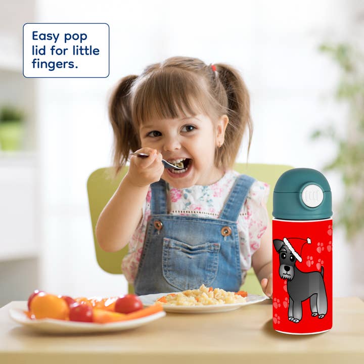 3dRose - Wholesale Water bottle - 3dRose, Cute Miniature Schnauzer Banded Coat (Salt and Pepper) - Cartoon Dog - Green with Santa Hat, Kids Water Bottle7