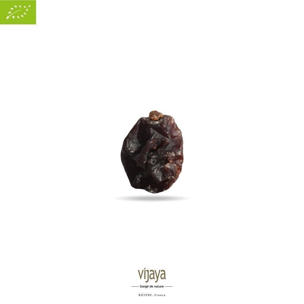 VIJAYA - SAS J.L. BOYERE - Wholesale Gedroogd fruit - AALBESSEN - GRIEKENLAND - 125 g - Bio*1