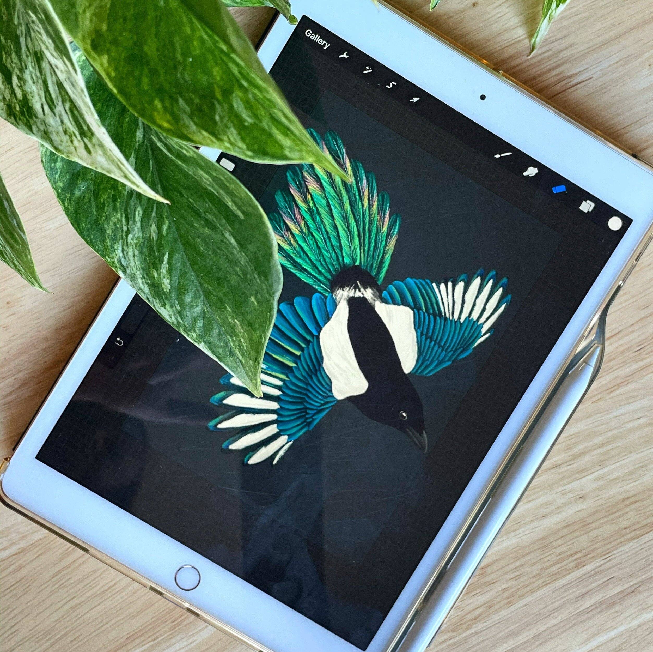 Ferne Creative – wholesale Sticker – Flying Magpie Vinyl Sticker1