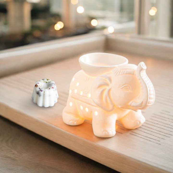 Zen'Arome - Wholesale Oil Warmer - Ceramy series perfume burner - Tandor blanc