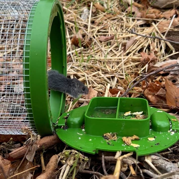 Billy Bob Products - Wholesale Handy tool - Billy Bob Multi Catch Mouse Trap3