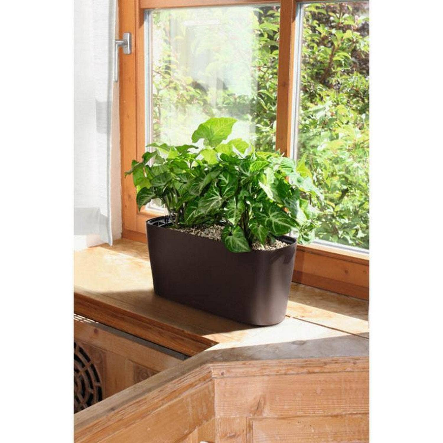 Lechuza Self Watering Planters - Vendita all'ingrosso Vasi per piante - LECHUZA DELTA Fioriera da tavolo/davanzale in poliresina13