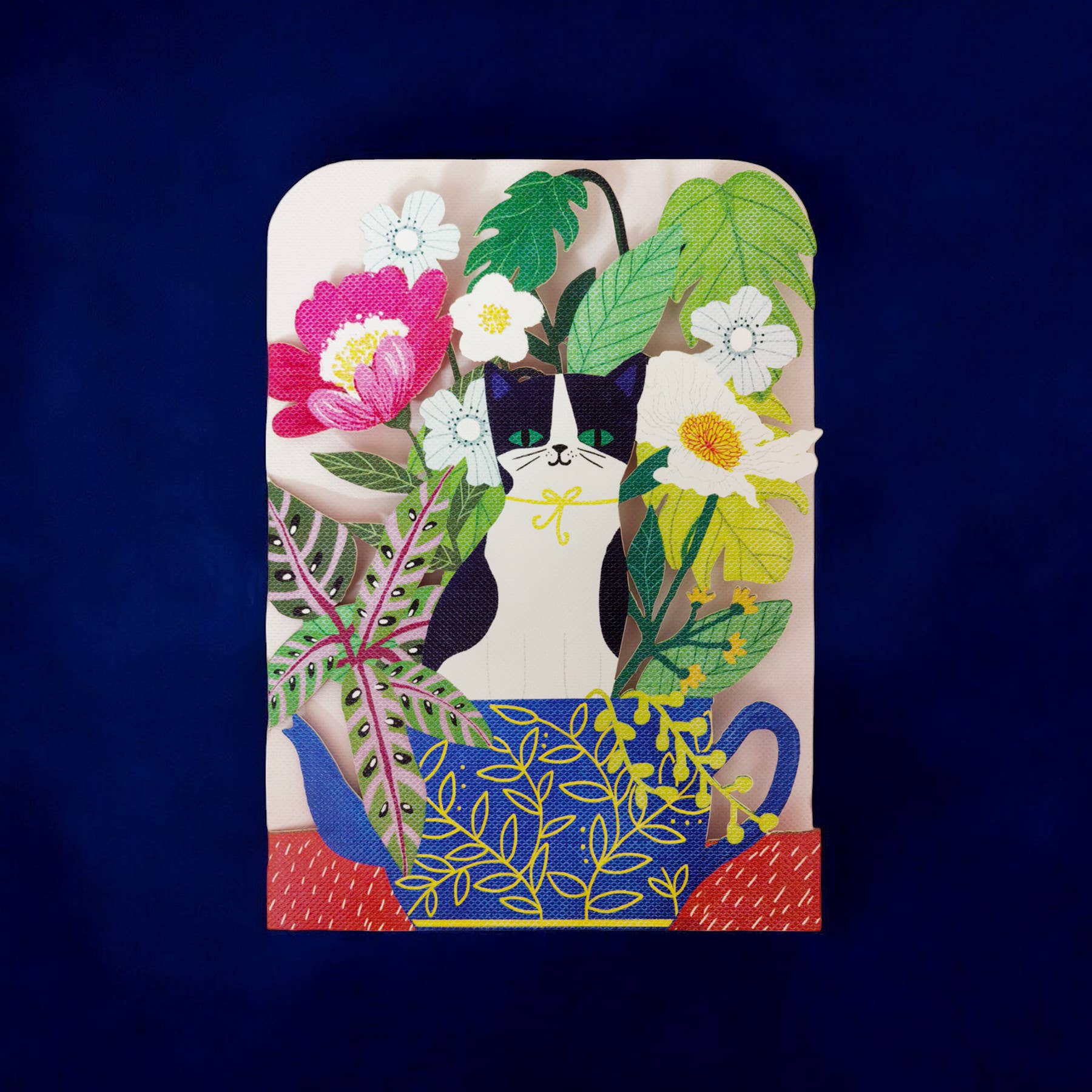 Alljoy Design - Venta al por mayor Tarjetas de cumpleaños - Tarjeta de cumpleaños de gato caprichoso en tetera0