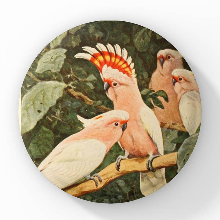 Épinglette en forme de cacatoès, porte-clés en forme de cacatoès, aimant en forme de cacatoès pour la vente par NatureCuts