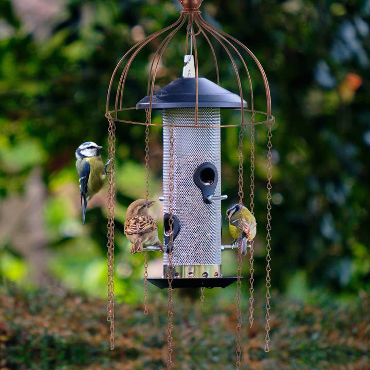 Wildlife World – wholesale Bird feeder – Simon King Medusa Feeder Defender - A Bird Feeder Protector