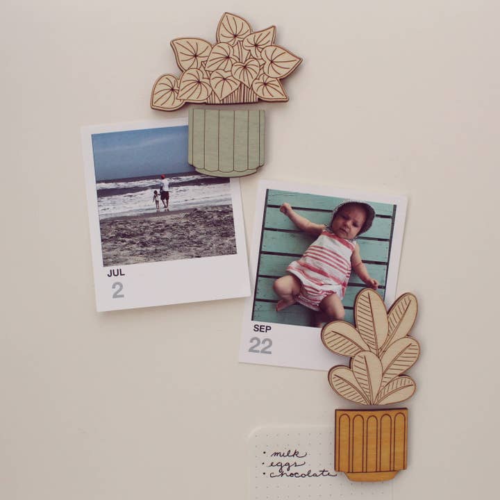 oh, little wren - Wholesale Magnet - Wood House Plant Magnets | Monstera Plant | Plant Lover Gift