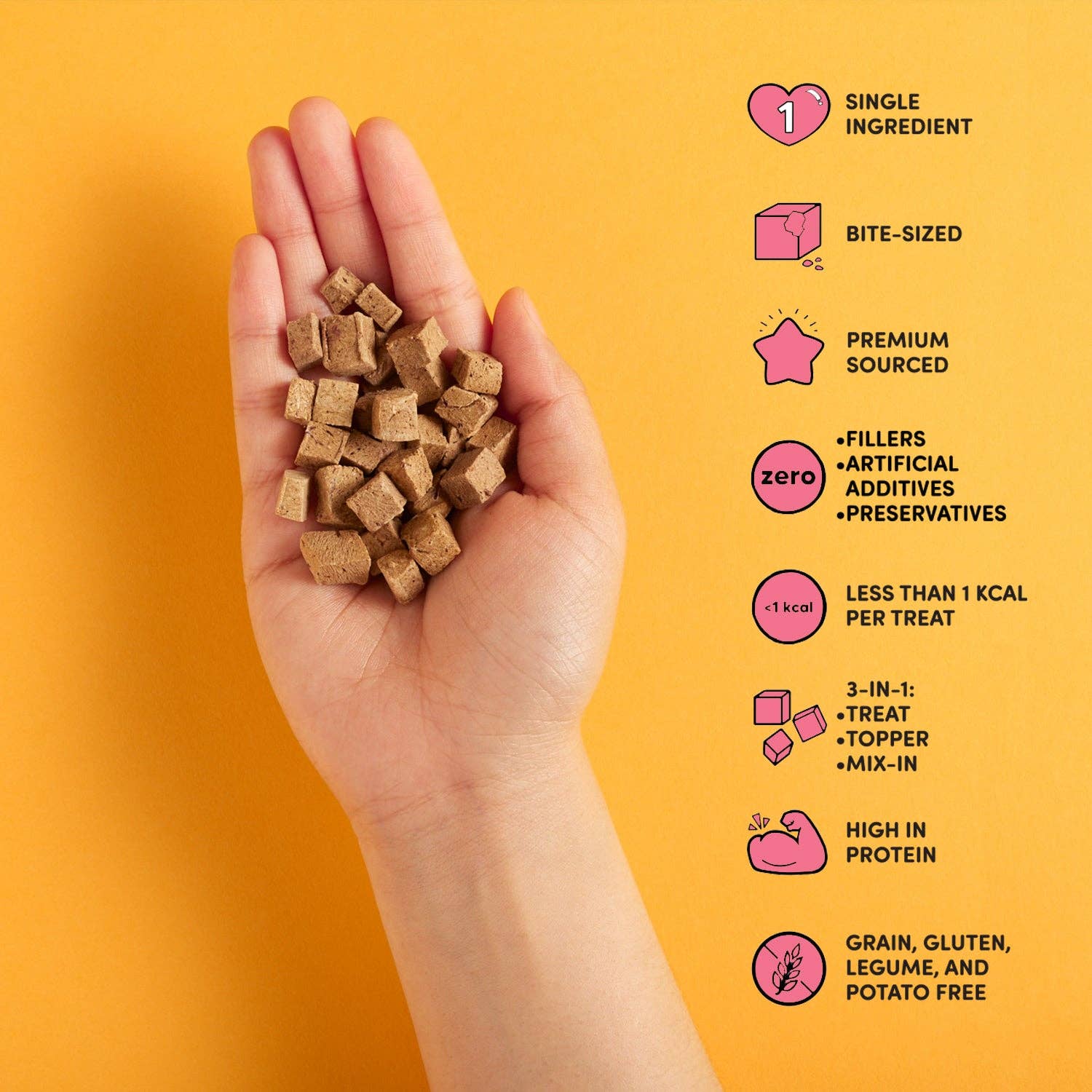 Snaggletooth Pets - Wholesale Pet Treats - Dog - Beef Liver - Freeze Dried Raw Teeny Tiny Treats2