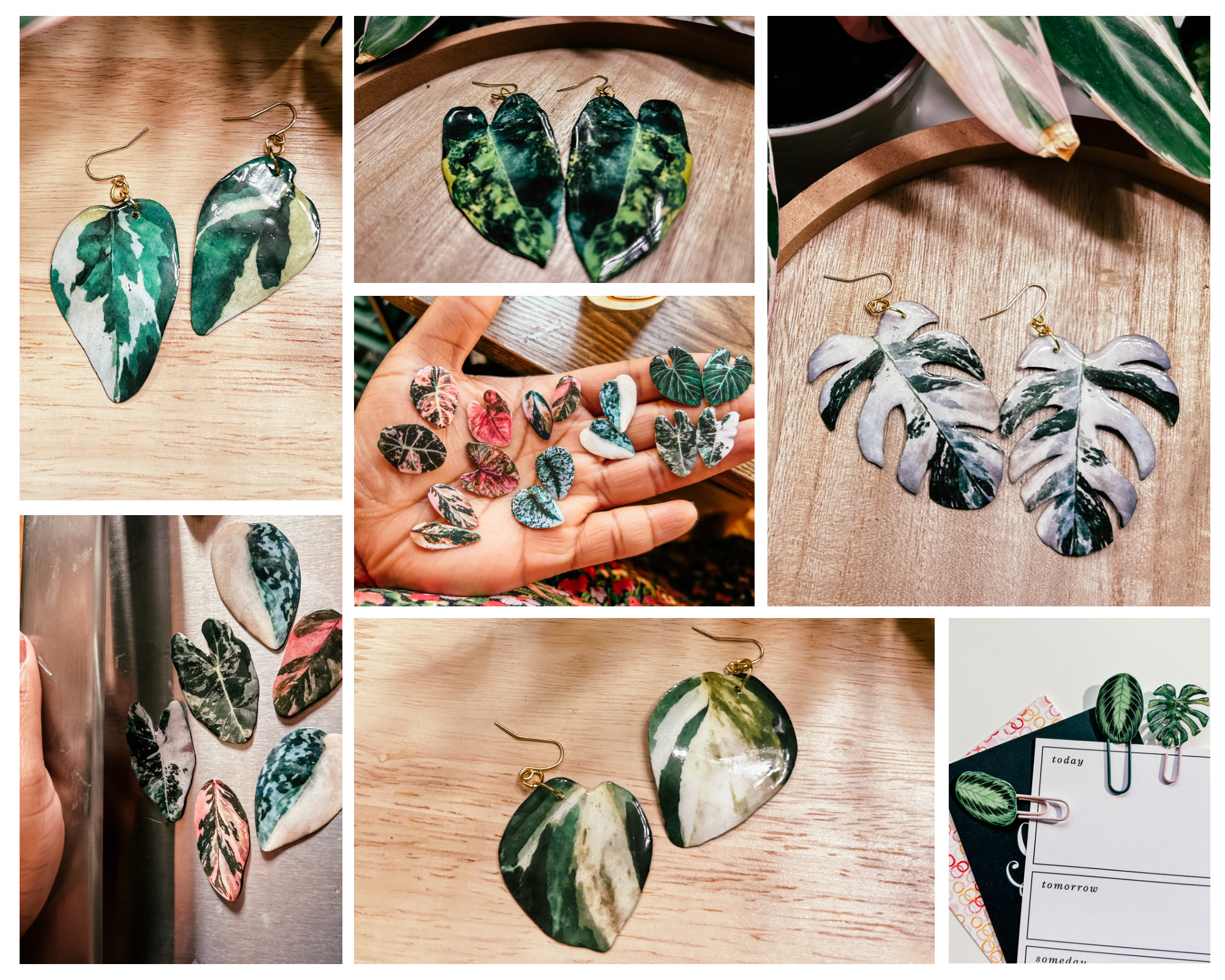 hethr - Wholesale Dangle Earrings - Aglaonema Earring, Magnet, Pin, Decor, Plant Lovers, Leaf (C8