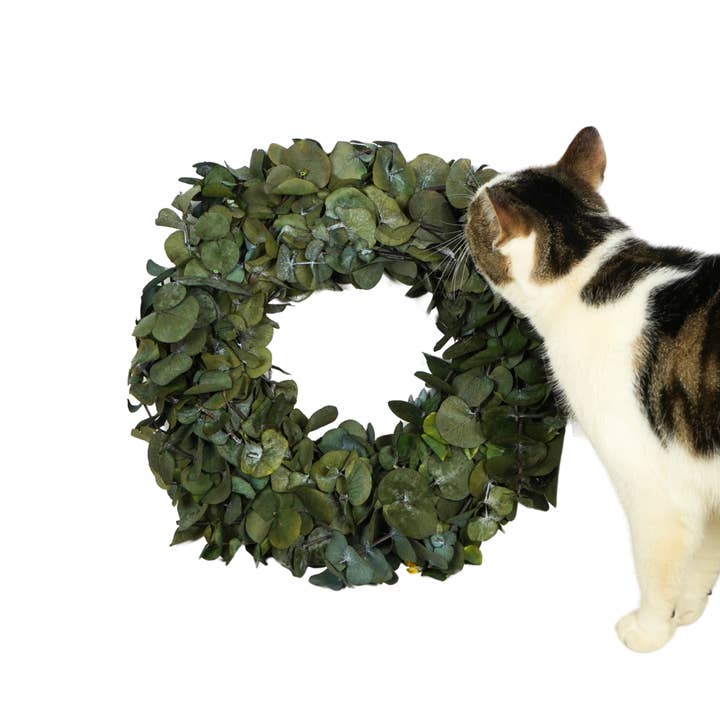 Wildflowers by Floriette – wholesale Wreath – Wreath Large - Eucalyptus green 35cm1