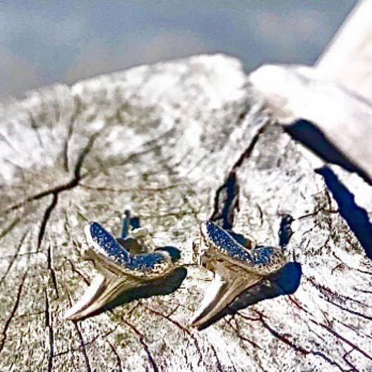 Mini Shark Tooth Earrings Sterling Silver for wholesale by Tidal Pool Brooklyn