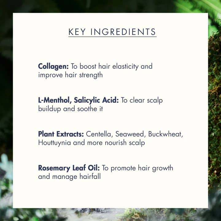 Coastside Skin - Wholesale Hair shampoo - Treecell Night Collagen Shampoo Midnight Forest 360ml4