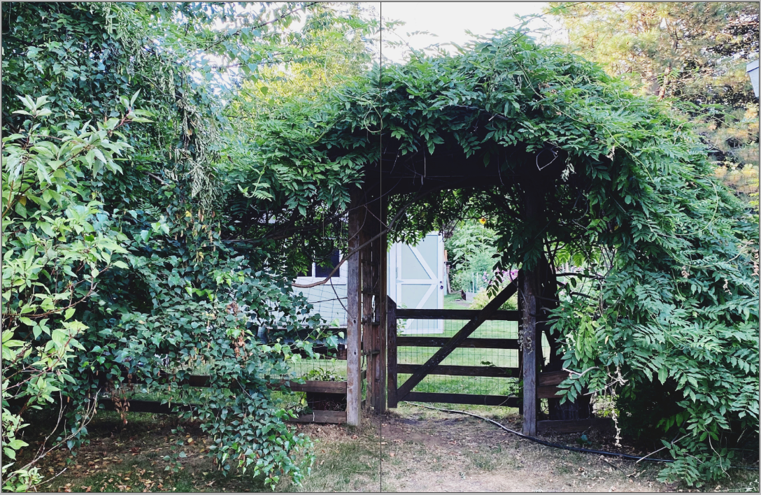 Honest Magazine - Wholesale Magazine - Summer, Plant & Prosper4