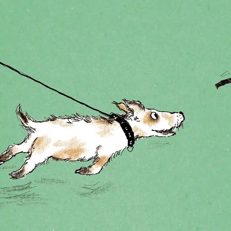 Paper Bird Publishing – wholesale Vardagliga hälsningskort – Glädje av pinnar0