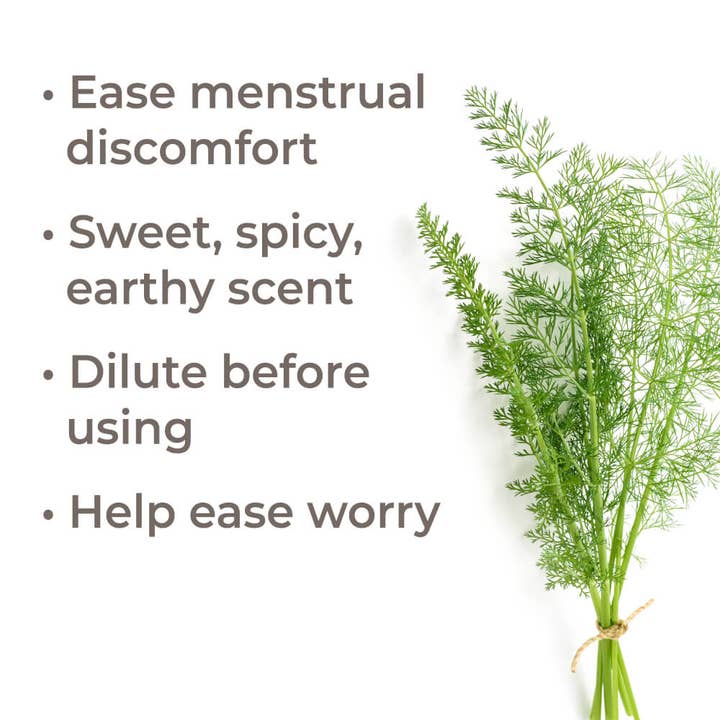 Plant Therapy - Wholesale Essential Oil - Sweet Fennel Essential Oil 10 mL7