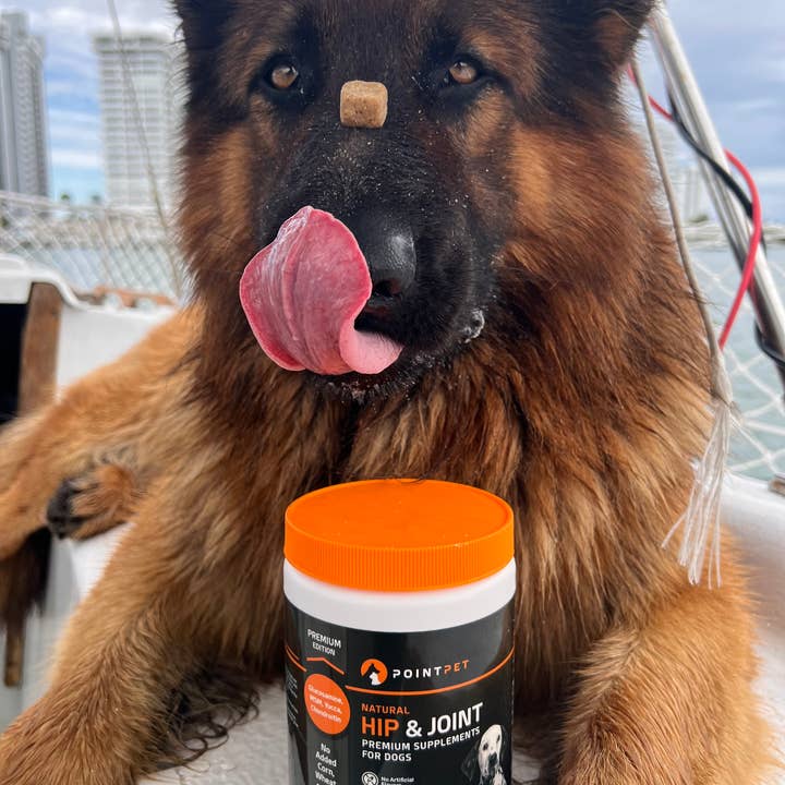 PointPet - Wholesale Pet Supplement - Dog - PointPet® Hip & Joint