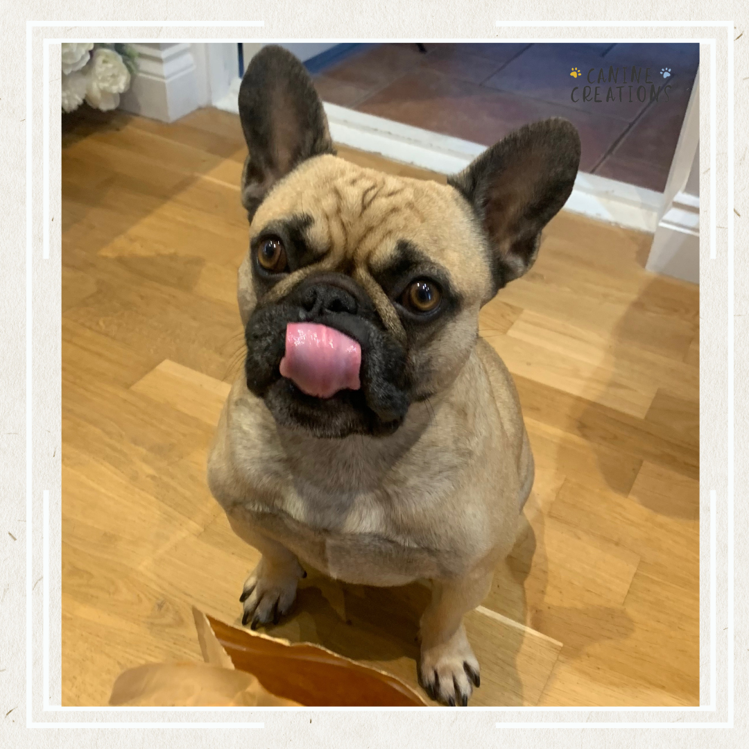 Canine Creations Cheshire – wholesale Pet treats – Dog – Chicken & Cheese1