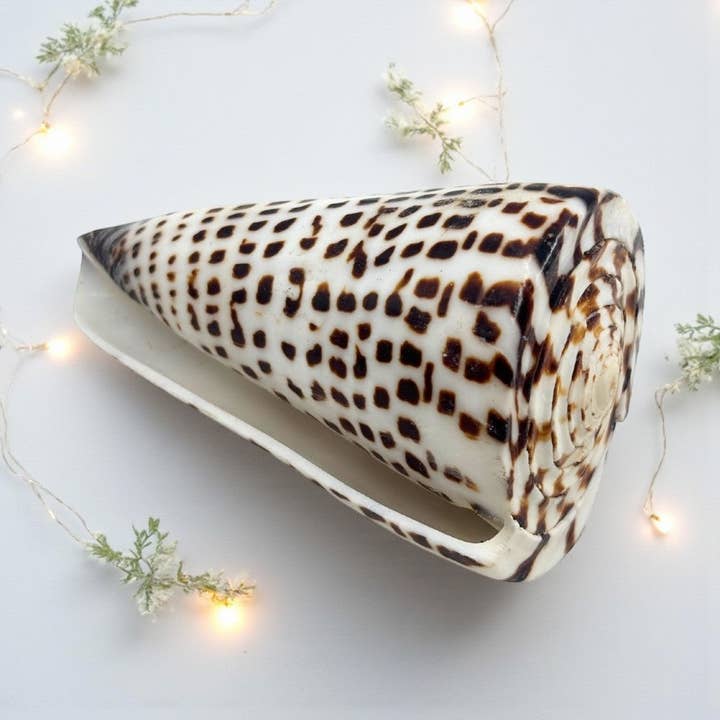 Lettered Cone for wholesale by Earths Elements Wholesale