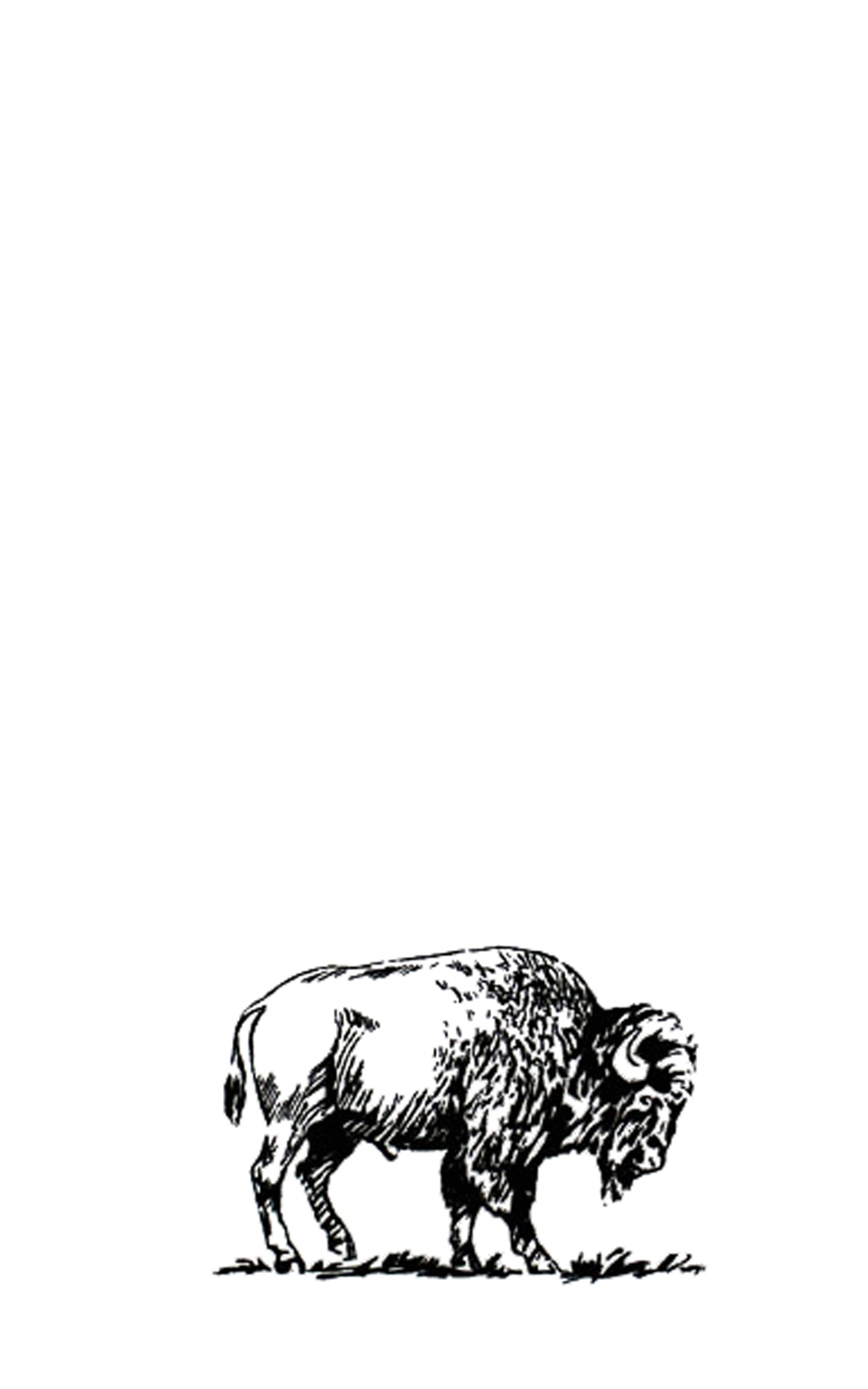 Corvidae drawings & designs – Toalha de chá por atacado – Toalha de chá Bison1