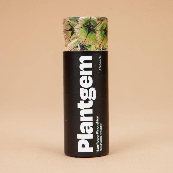 Starflower Scabiosa - 100 Seeds for wholesale by Plantgem