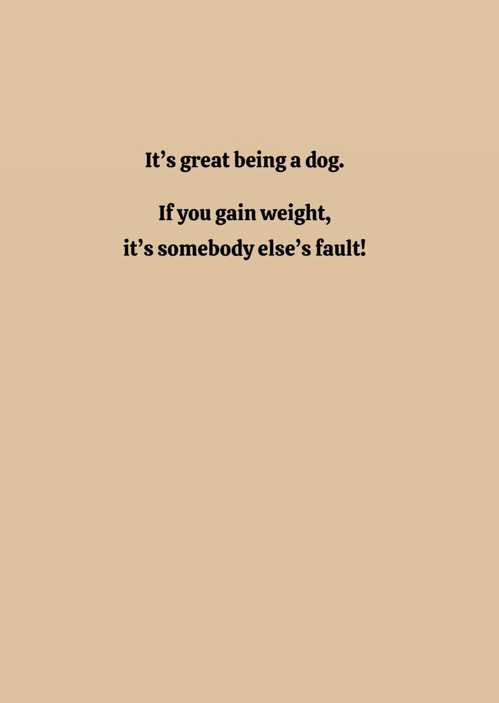 1216 Trading Company - Wholesale Everyday Greeting Card - Paw Talk Greeting Card - Just For Fun - 040062