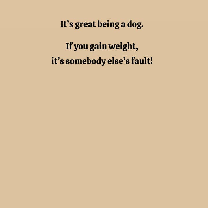 1216 Trading Company - Wholesale Everyday Greeting Card - Paw Talk Greeting Card - Just For Fun - 040062