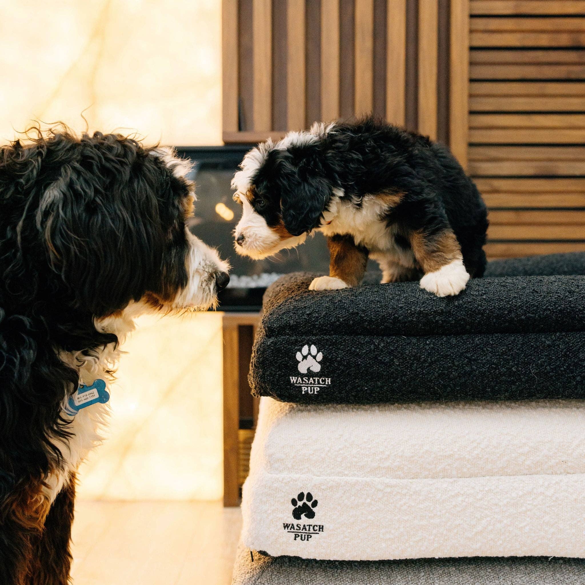 Wasatch Pup - Wholesale Pet bed – Dog - Luxury Orthopedic Dog Bed12