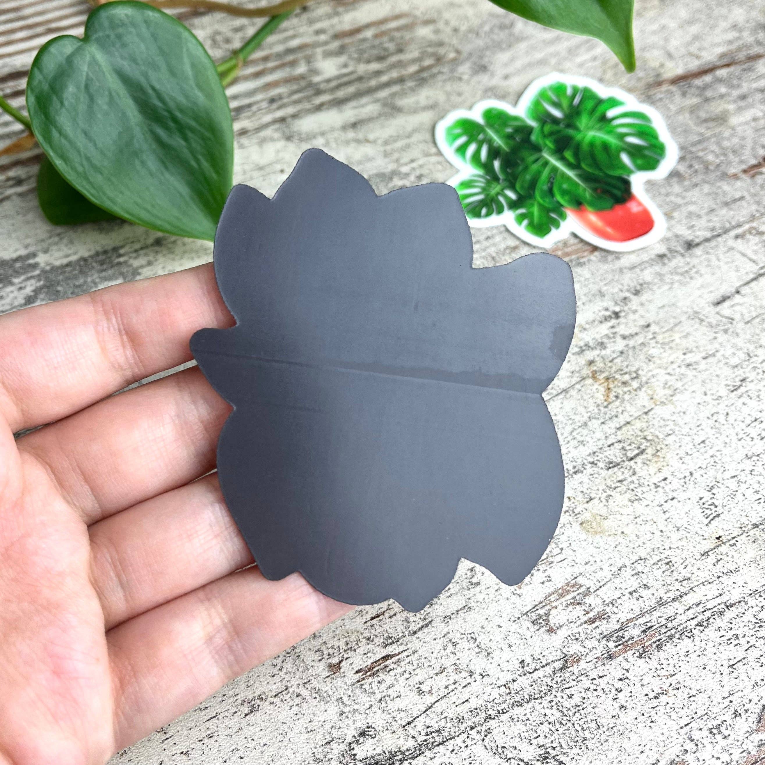 plantyintroverts - Wholesale Magnet - Magnet - Philodendron Pink Princess pot5