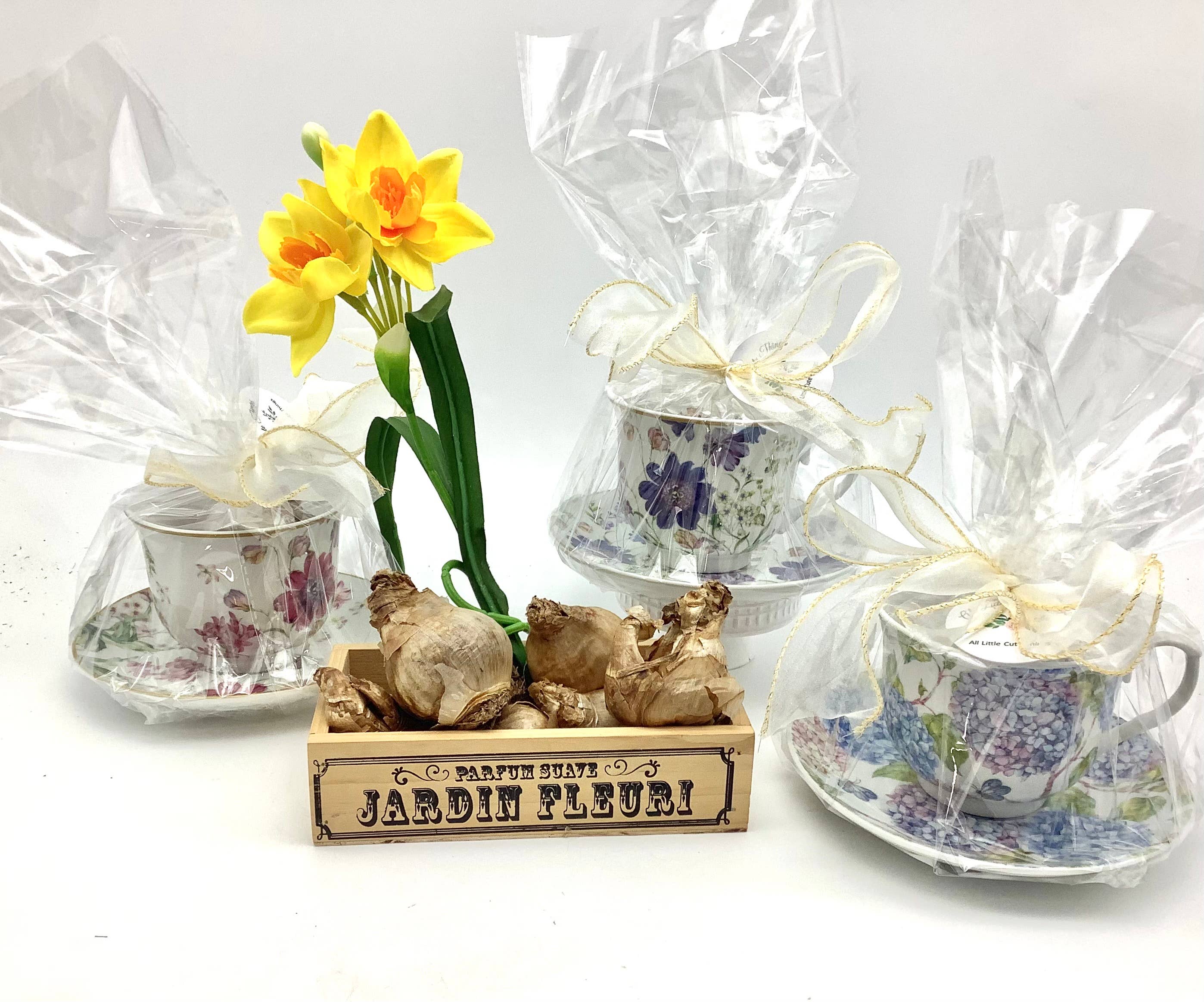 All Little Cute Things - Wholesale Party Favor - Dutch Daffodil Bulb in a Teacup, Garden Tea Party Favors5