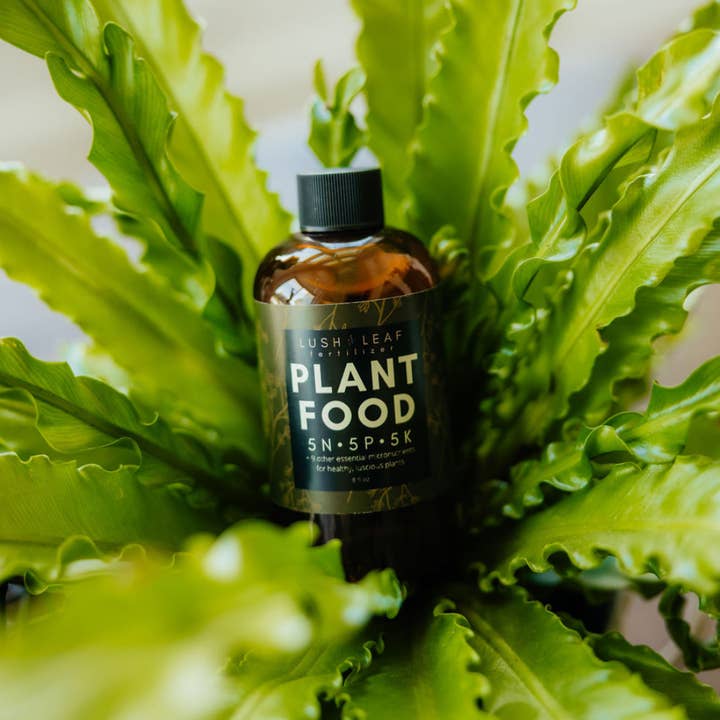 Lush Leaf - Wholesale Fertilizer - Lush Leaf Plant Food3