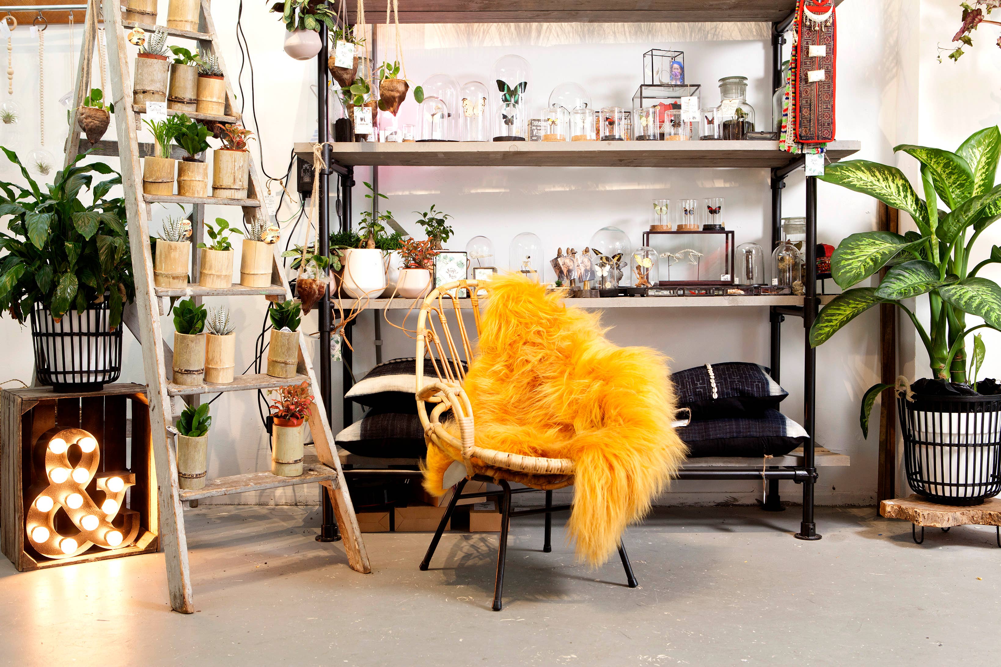 DYRESKINN® - Wholesale Area Rug - Sheepskin Icelandic yellow 90-110cm5