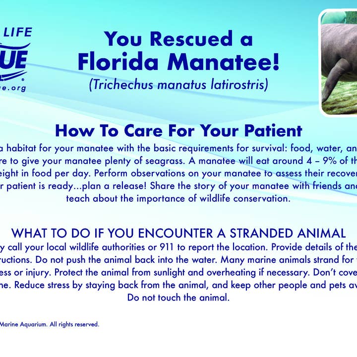 MARINE LIFE RESCUE PROJECT - Venta al por mayor Peluche - Niños y bebés - Peluche de manatí con camilla de rescate3