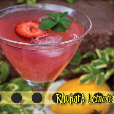 Lemon Poppy Inc. - Wholesale Cookbooks & Food - DISPLAY copy of When Life Gives You a Lemonade Stand - ONE7