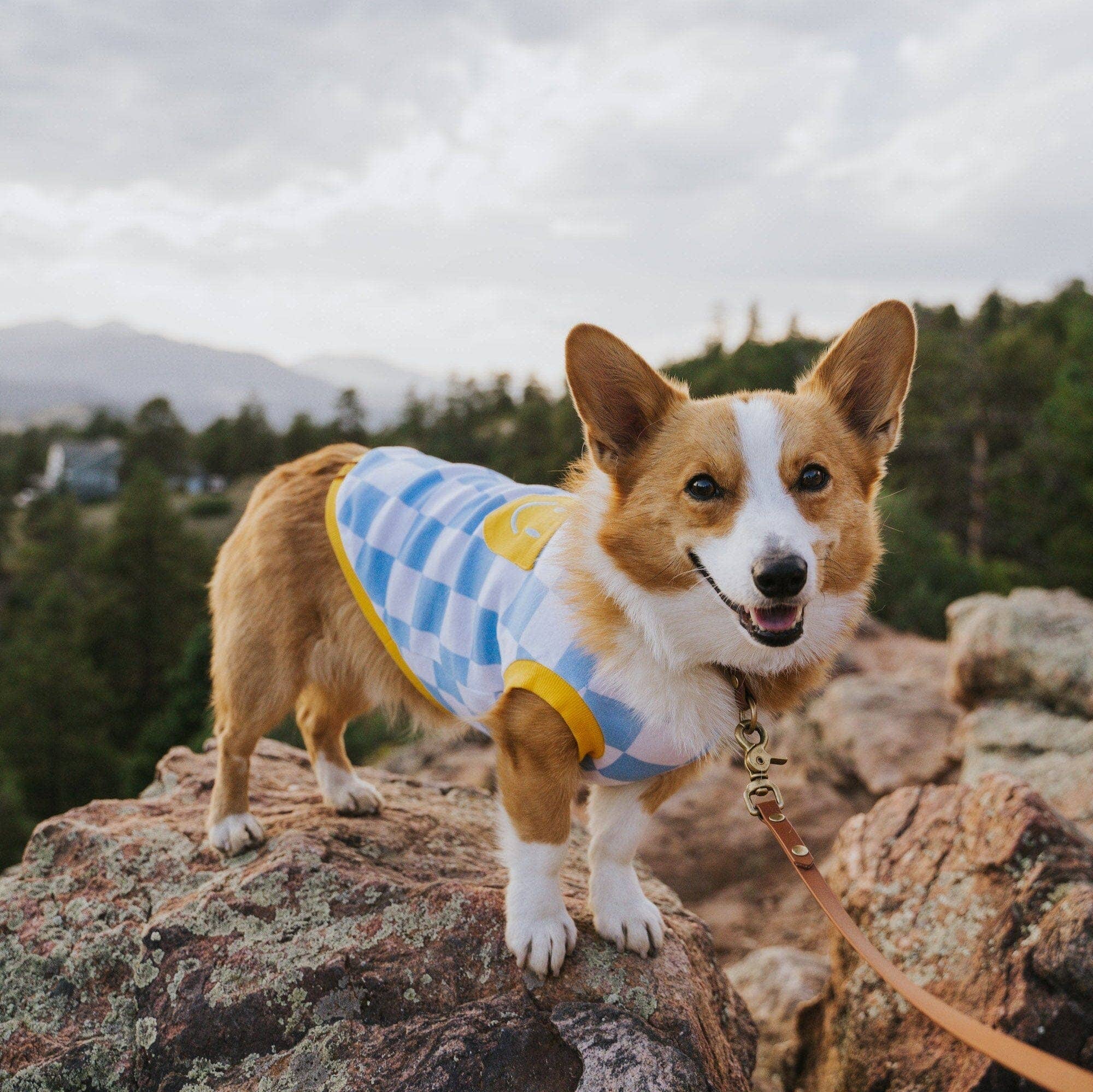 Sunbean - Wholesale Pet Shirt - Dog - Dog Cotton Smiley Tee6