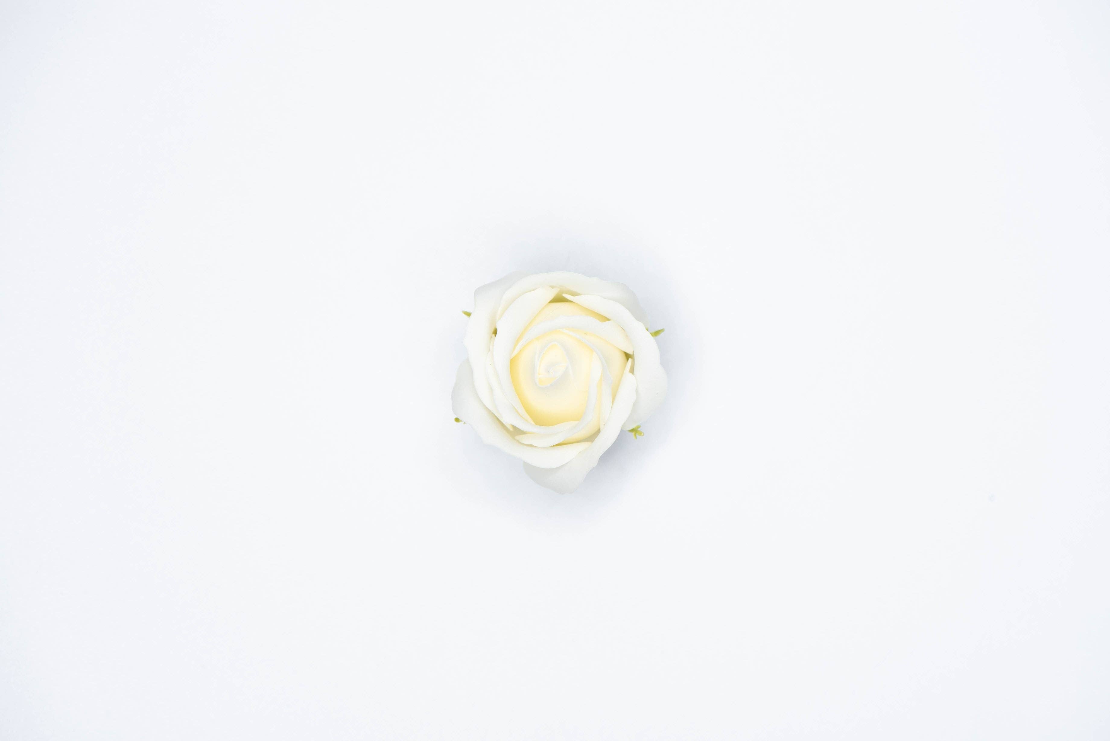 Billion Roses by Blanche - Wholesale Artificial Flowers - Große und Weiße Box mit Ewigen Rosen5