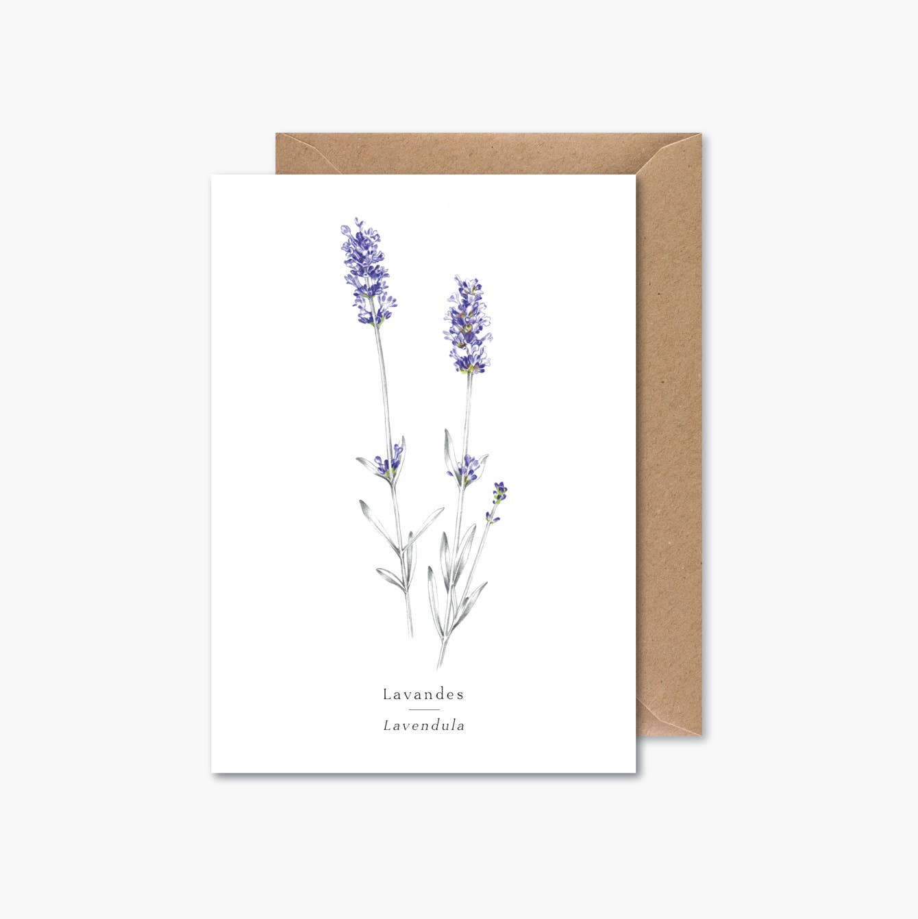Papier Mirage - Wholesale Everyday Greeting Card - Lavenders0