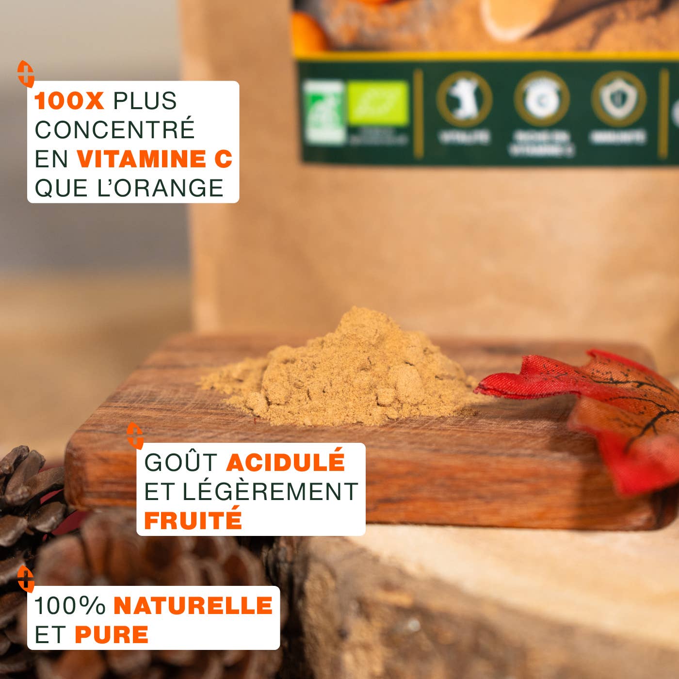 Amoseeds - Wholesale Protein/Superfood Powder - Organic camu-camu powder2