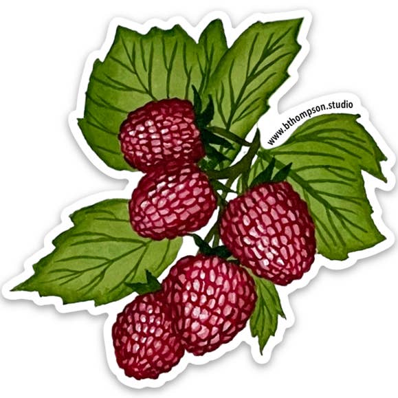 Hallon klistermärke för wholesale av Broad Bloom